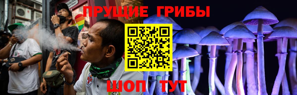 Галлюциногенные грибы прущие грибы  Вход с VPN  Обнинск 